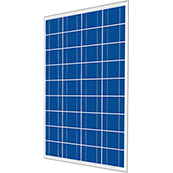 Cinco 50W Poly Solar Panel