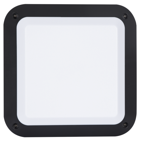 Brightstar Square Bulkhead Black
