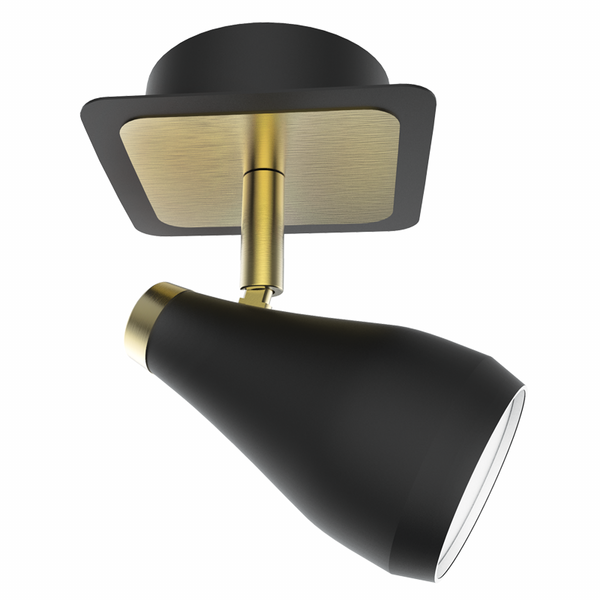 Brightstar Black Brass Spot Light 1L
