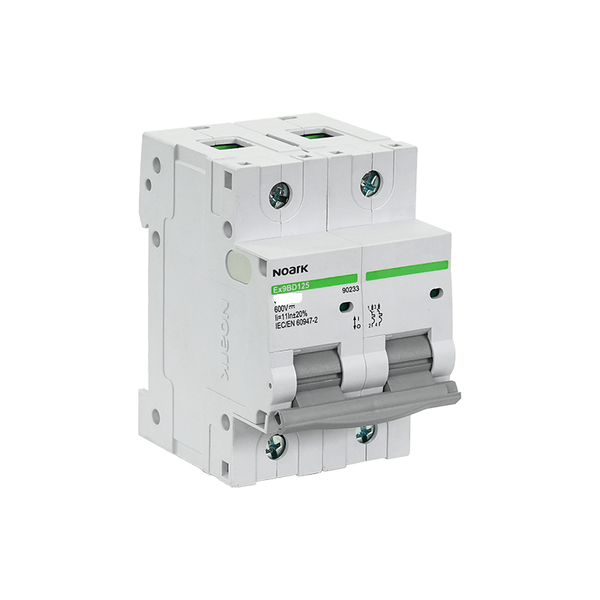 Chint Noark DC Circuit Breaker 2P 6K 80A