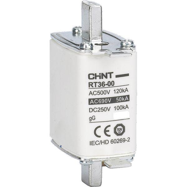 Fuse Chint NH1 250A