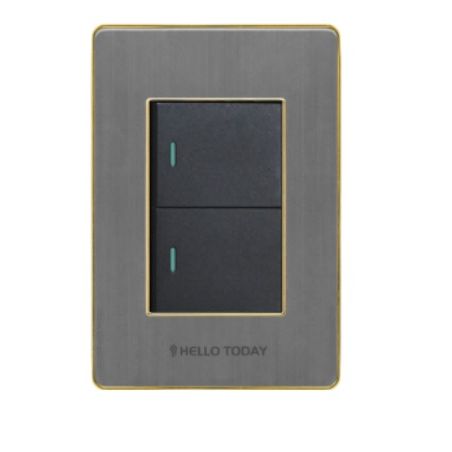 HT 2L Light Switch Silver/Gold 2×4 2Way