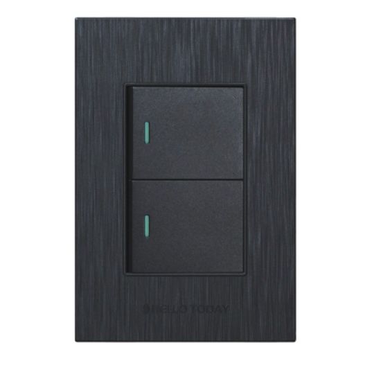 HT 2L Light Switch Black 2×4 2Way