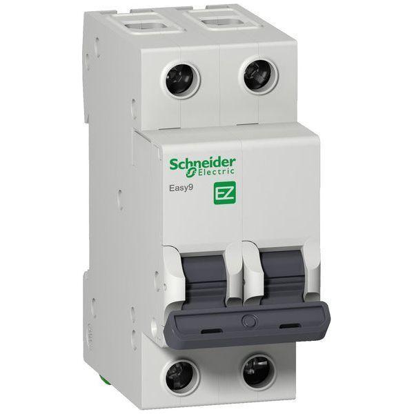 Schneider Circuit Breaker 2P 3KA 25A