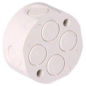 8 Way 20mm PVC Conduit Loop In Box For Sale | Brite Lighting & Electrical