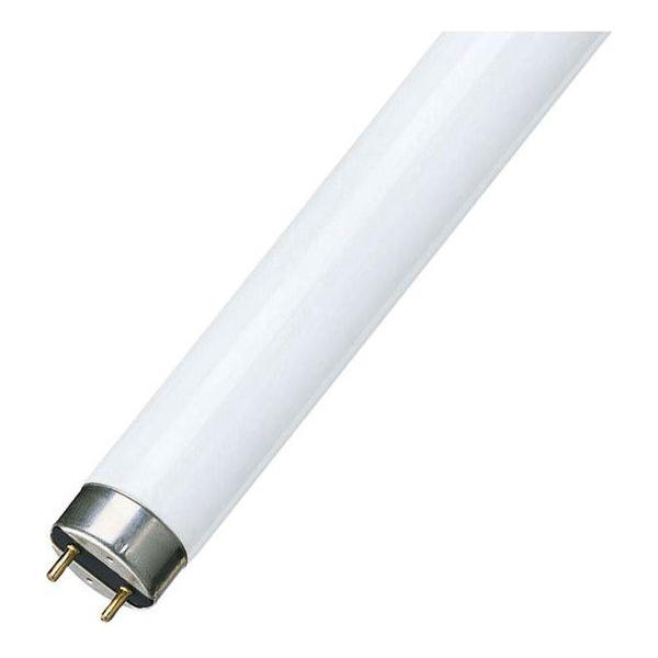 T8 Fluorescent Tube 18W Cool White