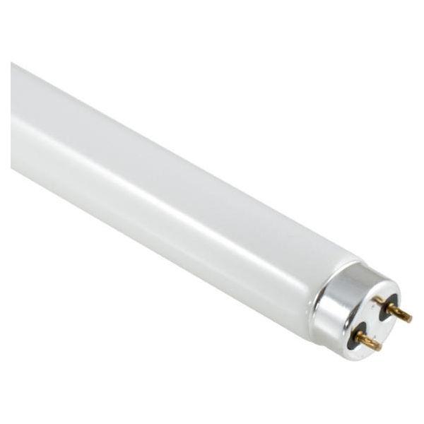 T8 Fluorescent Tube 18W Daylight