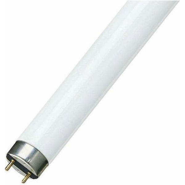 T8 Fluorescent Tube 36W Natura