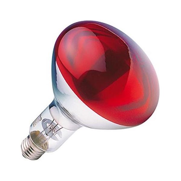 Ruby Infrared Heat Lamp 250W