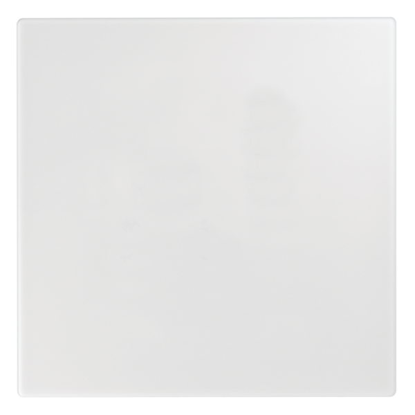 Topaz Blank Cover 4X4 White